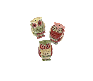 Color Me Mine - Tallahassee Owl Ornaments