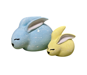 Color Me Mine - Tallahassee Fern & Sprout Bunnies